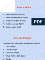 Copy of Indra Pendengaran