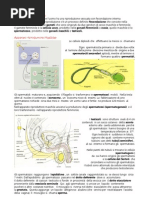 Yoqimli va gayratli Francesca Jeyms bilan jinsiy aloqa
