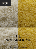 Download The Golden Rice by Ambesh Srivastava by scribd4986 SN14443135 doc pdf