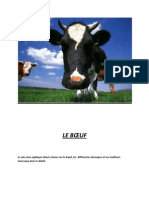 Cours Sur Le Boeuf PDF