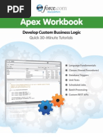 Apex Workbook