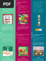 10 Reglas de Oro de la OMS | PDF | Alimentos | Agua