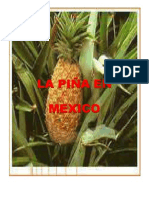 La Piña en Mexico
