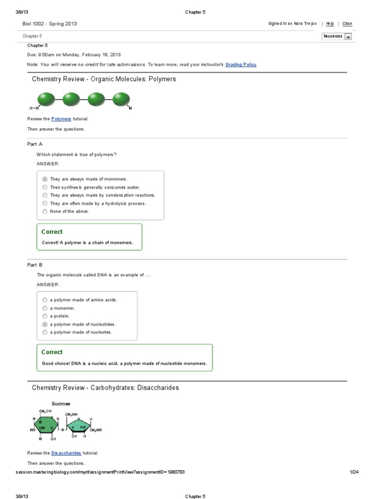worksheet Dna The Molecule Of Heredity Worksheet Key chapter 5 large biomolecules directionality molecular biology nucleic acids
