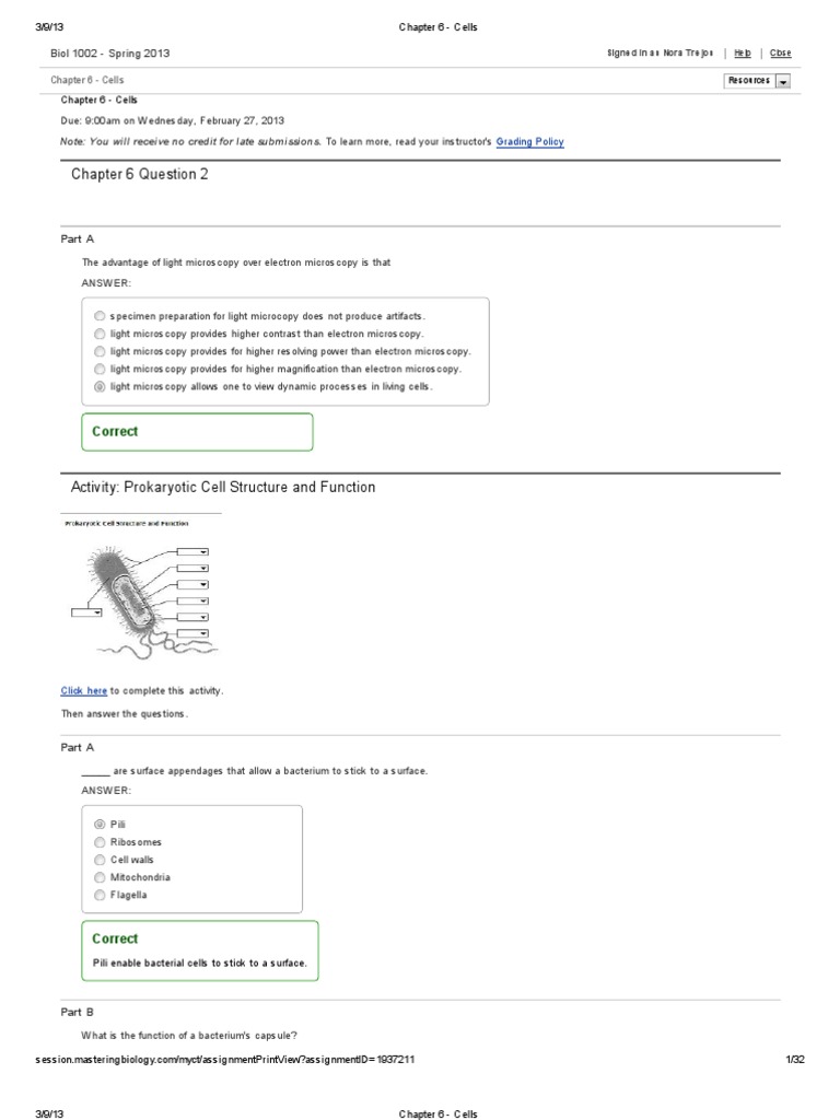 Drag The Labels Onto The Diagram To Identify The Structures Or Steps In Protein Synthesis Atkinsjewelry