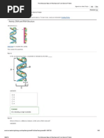 The Molecular Basis of Inheritance