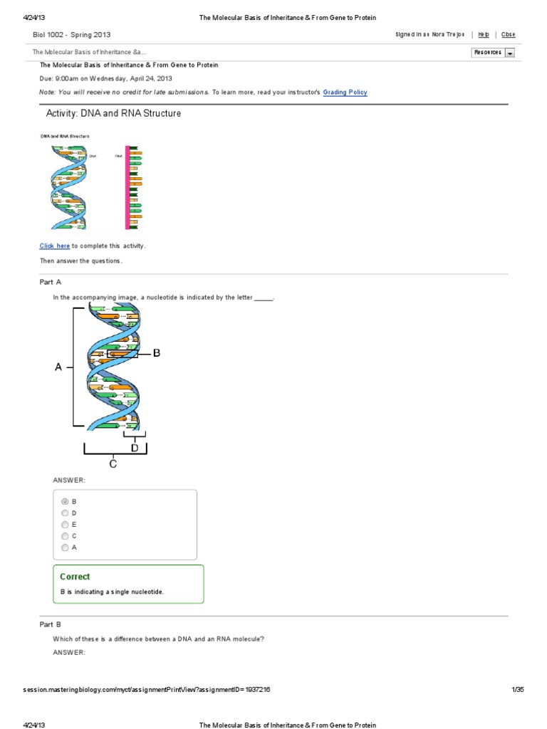 Learning Through Art Dna Structure Masteringbiology