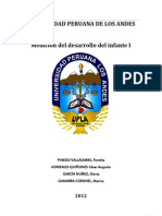 Desarrollo Del Lenguaje Oficial PDF