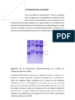 Metodologia 2