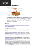 Aparelho Digestivo
