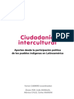 Pnud Libro Ciudadania Intercultural - 2013