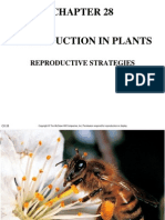 Chapter 28 Reproduction+in+Plant