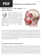 Download Massage Therapy for Bruxism TMJ Syndrome by Adam Kesher SN144532660 doc pdf