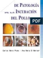 Atlas de Patologías de La Incubacion Del Pollo - Carlos M. Plano - Ana M. Di Matteo