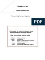 INFECCIOSAS Caballos Rinoneumonitis y Abortos Por Herpesvirus