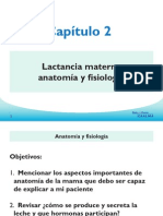 2.lactancia Materna Anatomia y Fisiologia PDF