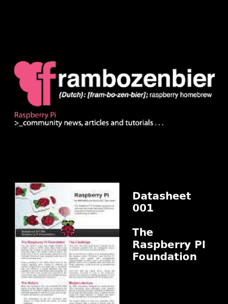 Raspberry Pi Overview and Basics Guide | PDF | Business | Computers