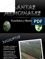 Plantas Medicinales