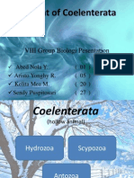 Present of Coelenterata