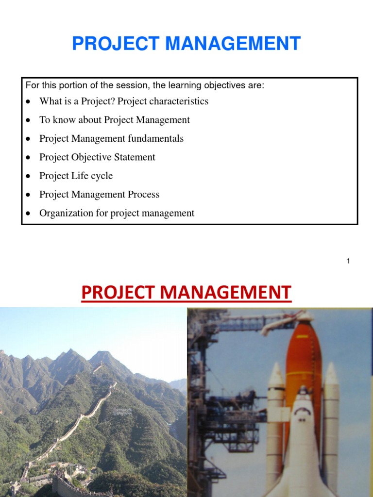 Project Management Fundamentals Guide | PDF | Project Management | Risk ...
