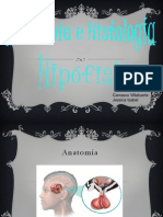 00 Hipófisis