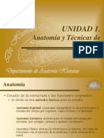 01anatoeimagen