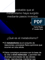 Metabolismo Inverso