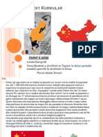 Tema:Modelet e Zhvillimit Te Tigrave Te Azise Perballe Modelit Specifik Te Zhvillimit Te Kines