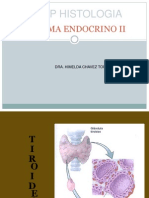 Clasehistoendocrino2013 II PDF