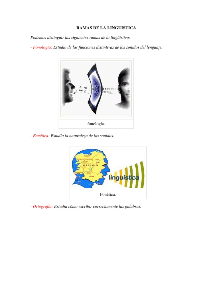 La Linguistica Funzionale
