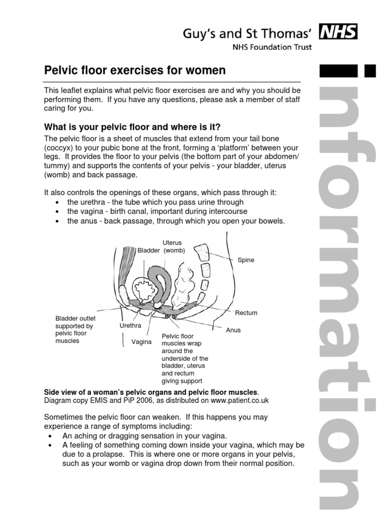 Pelvic Floor Exercises For Women | PDF | Urinary Incontinence | Pelvis