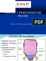 Peritoneo Pelviano