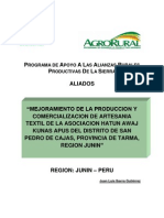 proyecto aliados