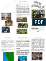 Animales de Las Regiones Del Peru