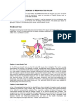 Diagnosis of Helicobacter Pylori PDF