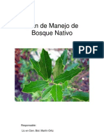 Plan de Manejo Bosque Nativo