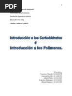 Trabajo Quimica Organica, Carbohidratos y Polímeros