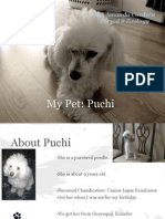 Puchi Presentation