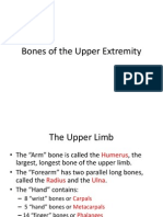 Bones of Upper Extermity