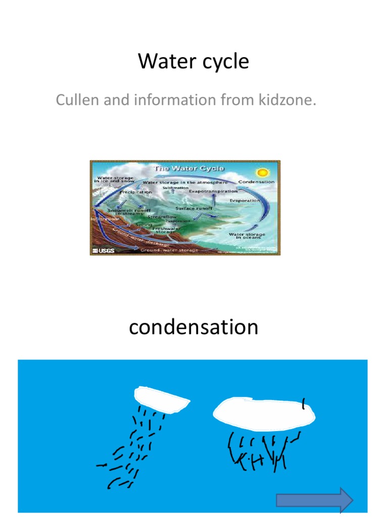 Understanding the Water Cycle Process | PDF