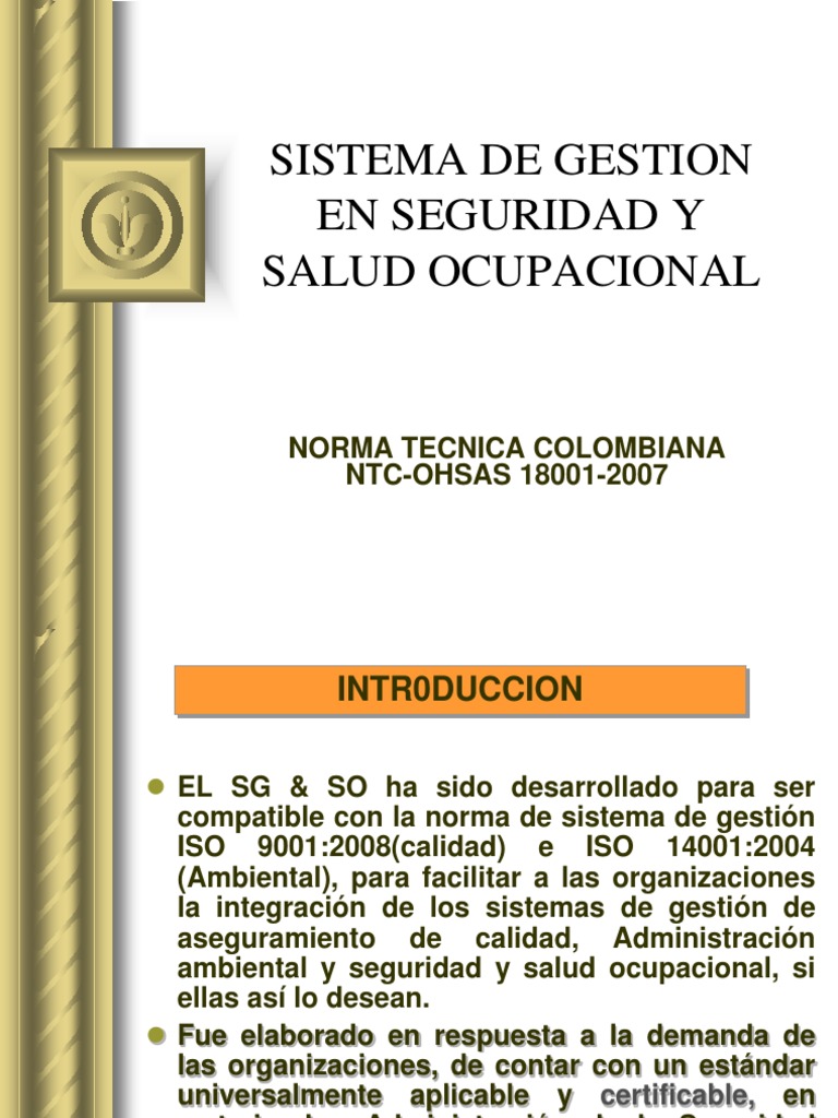Sistema de Gestion en Seguridad y Salud Ocupacional | PDF