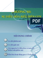 Chuong Xii - Sự Điều Hoa Hoat Đong Gen