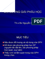 Đ I Cương GPH