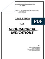 Case Study On Geographical Indiaction By-Amit Singh