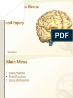 Lecture 1 the Human Brain Anatomy 1232300552416209 3 Copy