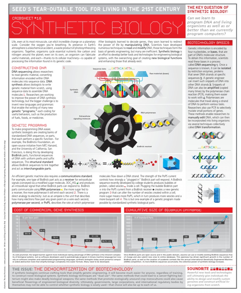 16 Crib Sheet | PDF