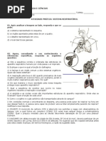 Prova de Fisiologia Humana com Gabarito | PDF | Corpo humano | Sistema ...