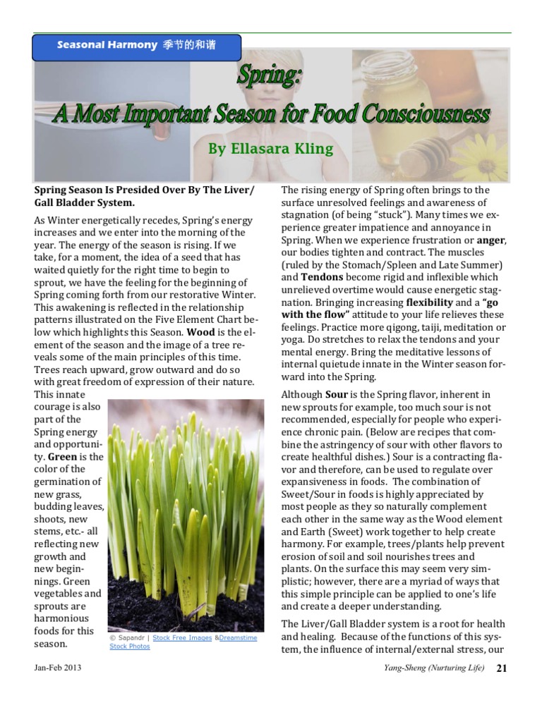 Spring Yang-Sheng 2013-01 PDF | PDF | Kale | Vegetarian Cuisine