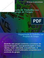 Organização e Trabalho em Projetos de Grupo