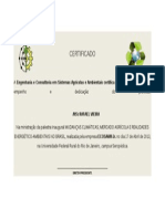 Certificado Palestrante